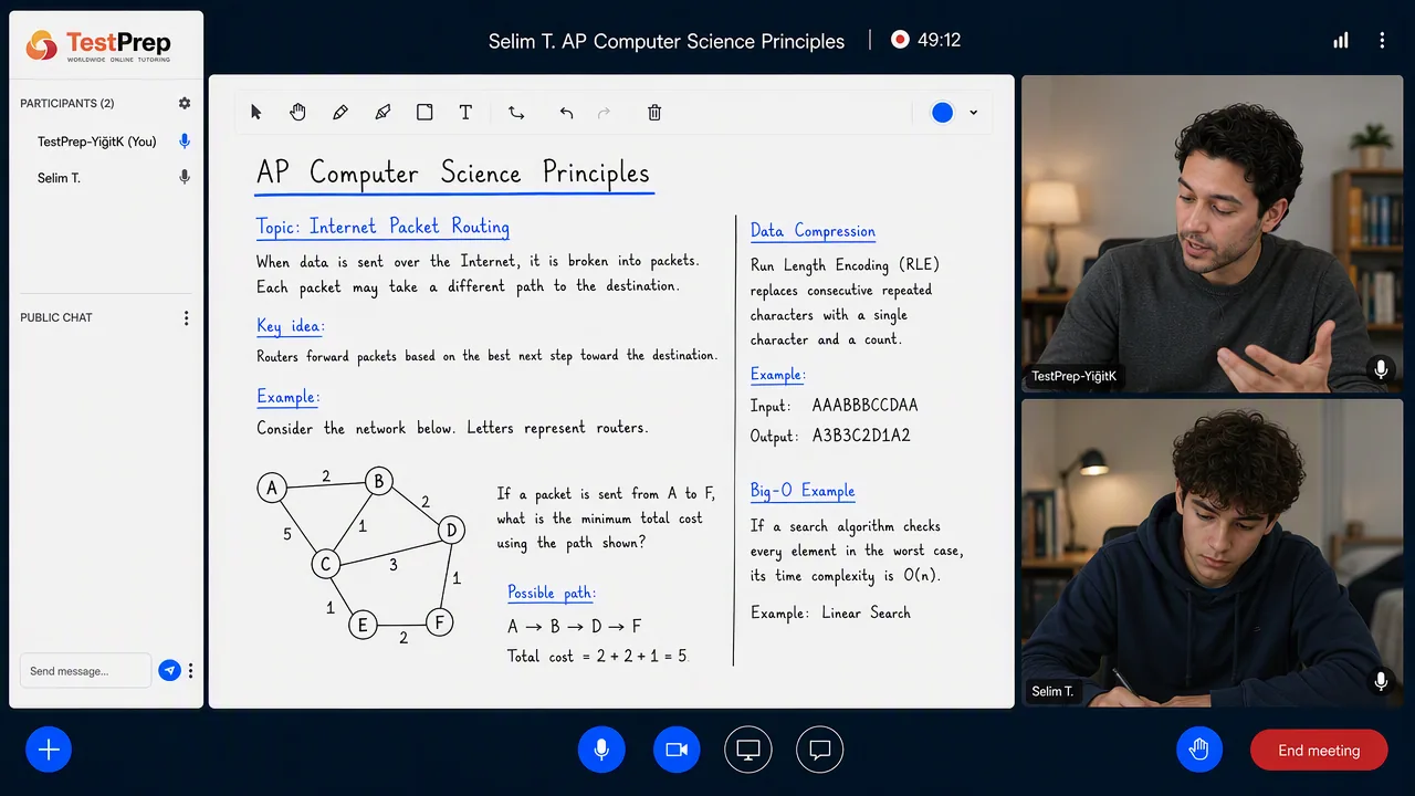 AP Computer Science Principles — özel ders