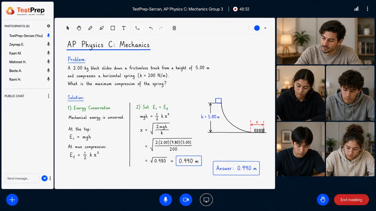 AP Physics C: Mechanics — grup dersi
