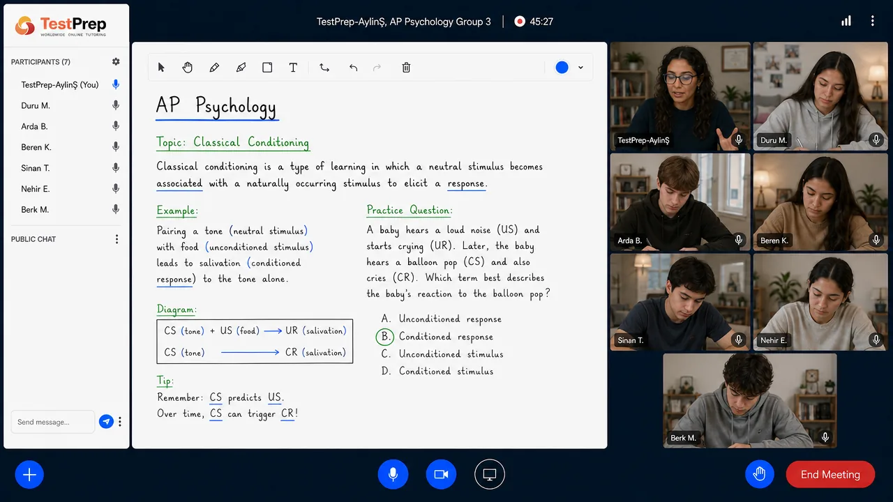 AP Psychology — grup dersi