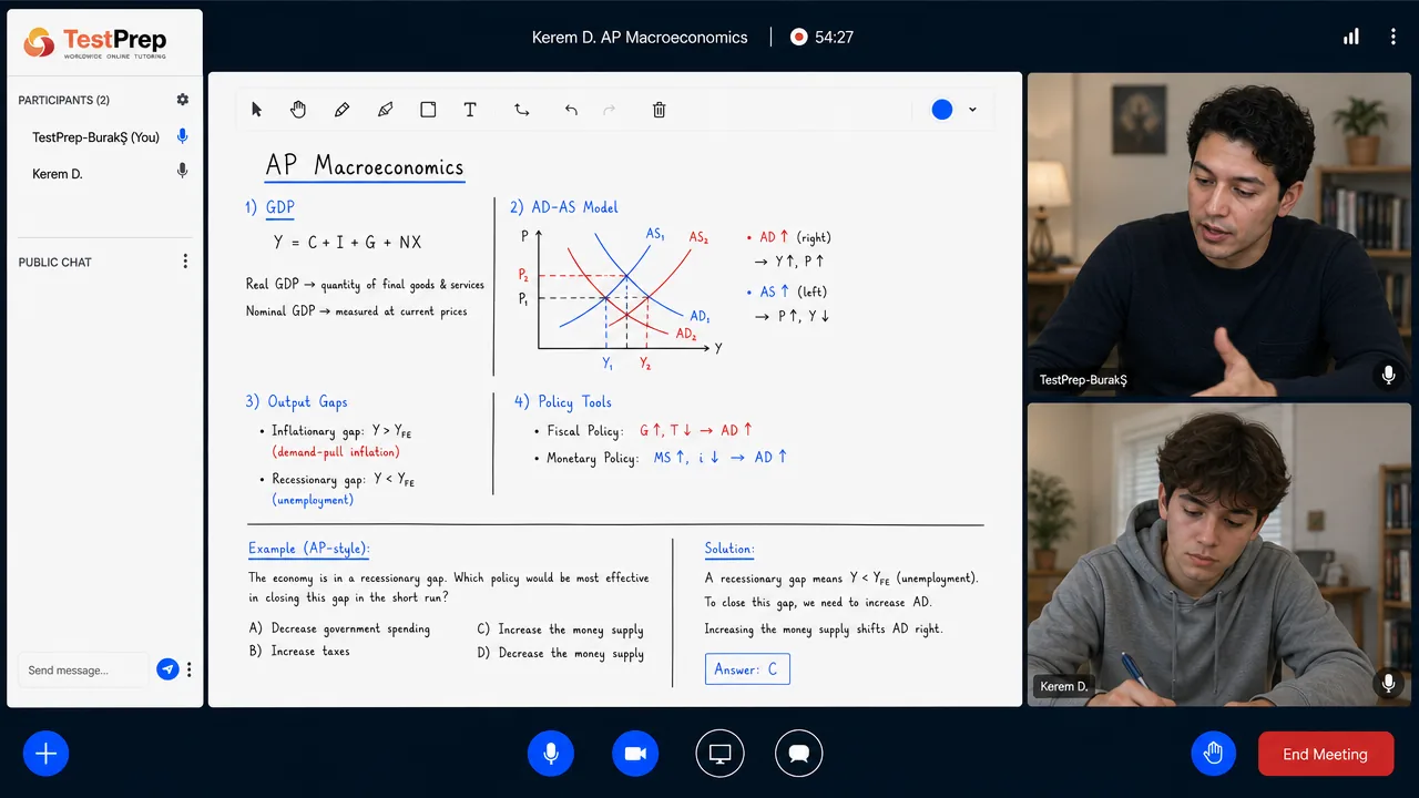 AP Macroeconomics — özel ders