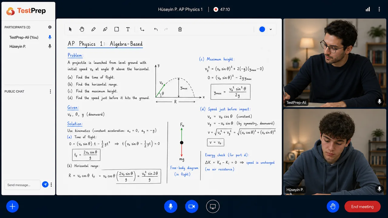AP Physics 1 — özel ders