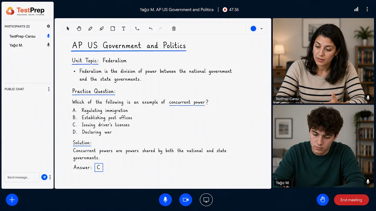 AP United States Government — özel ders