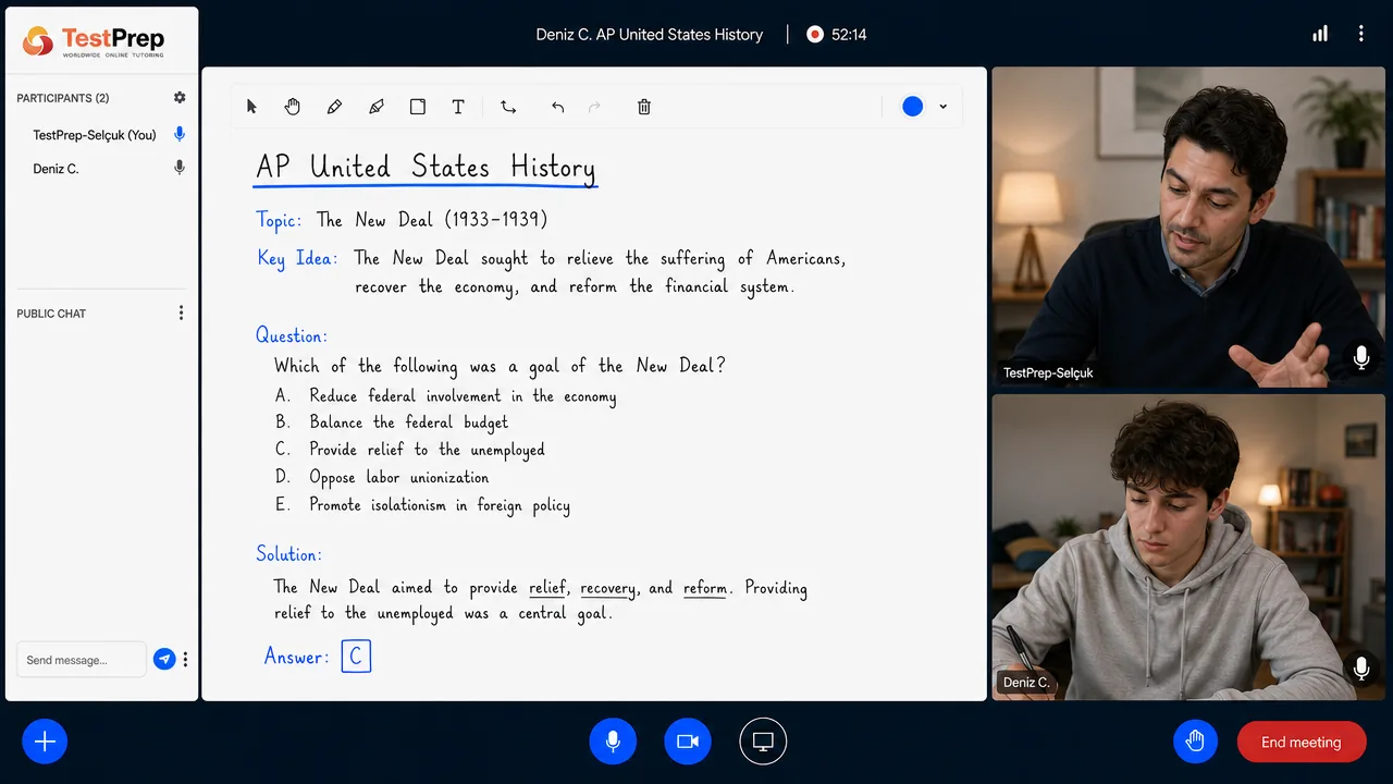 AP United States History — özel ders