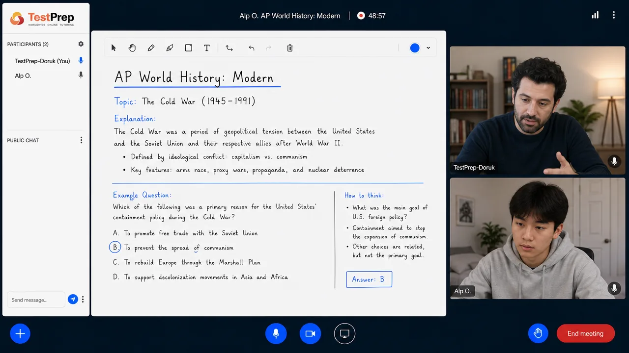 AP World History — özel ders